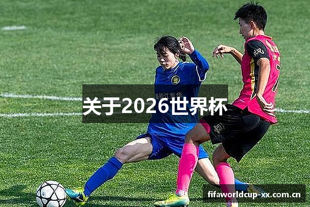 关于2026世界杯